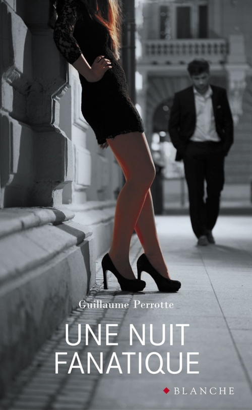 ebook cover of Une Nuit fanatique, by Guillaume Perrotte