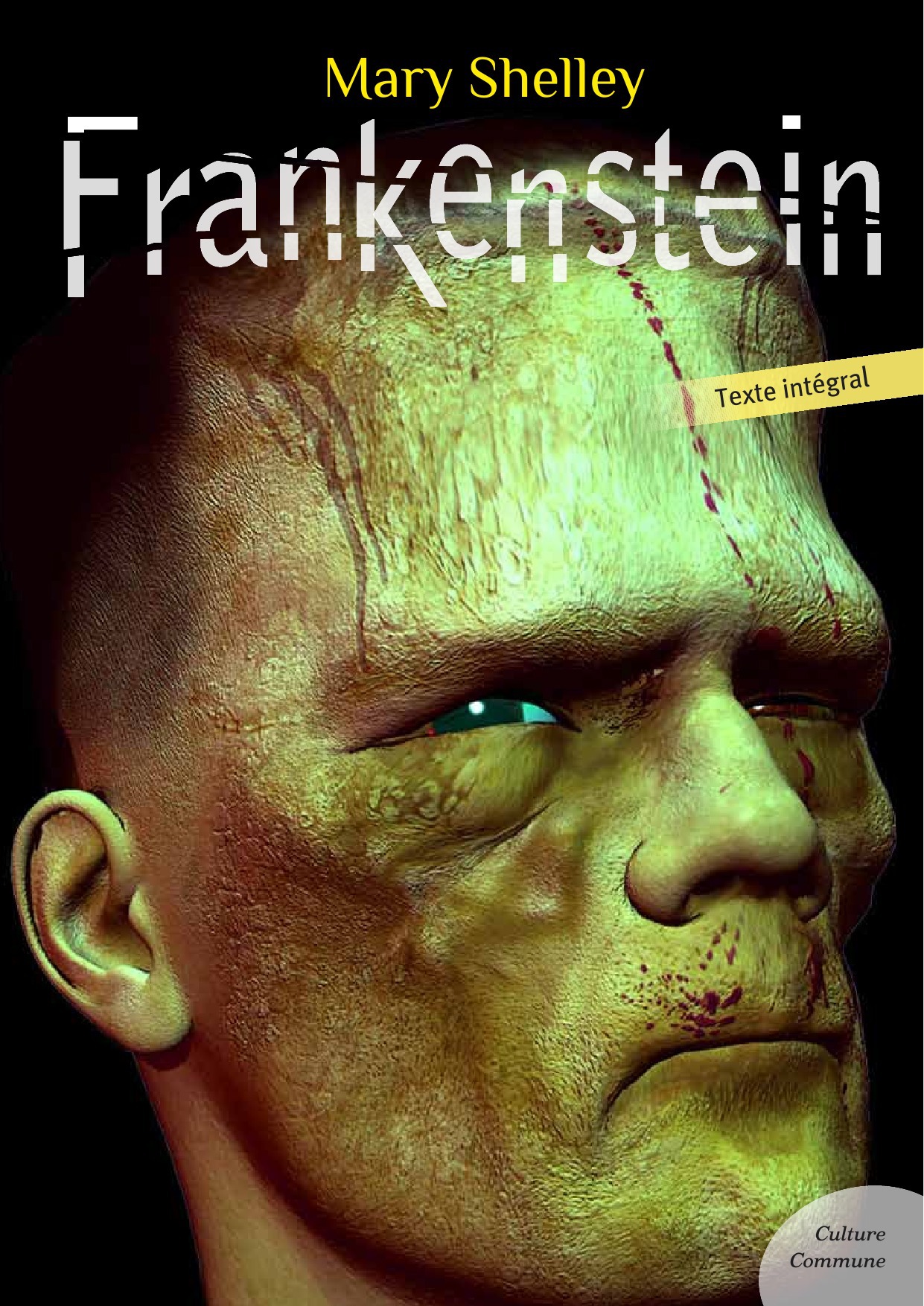 Couverture ebook de Frankenstein, de Mary Wollstonecraft Shelley