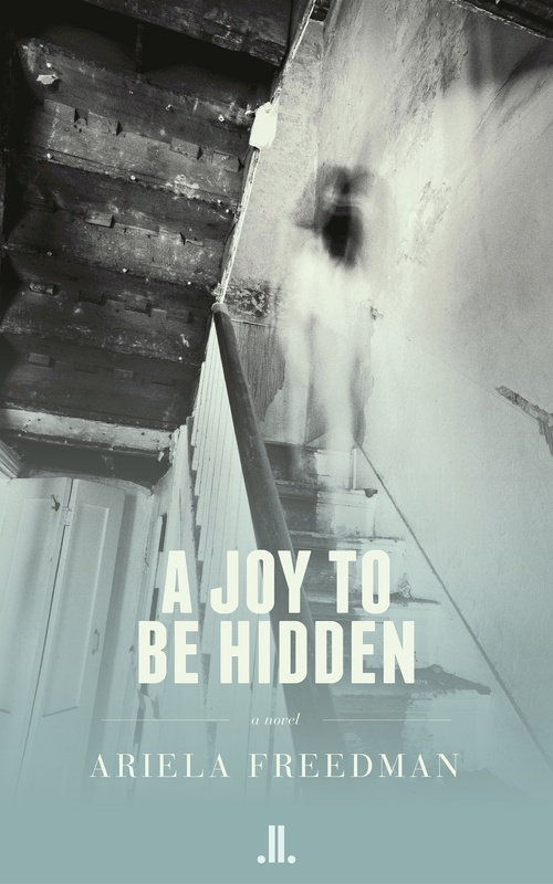 ebook cover of A Joy to be Hidden, by Ariela Freedman