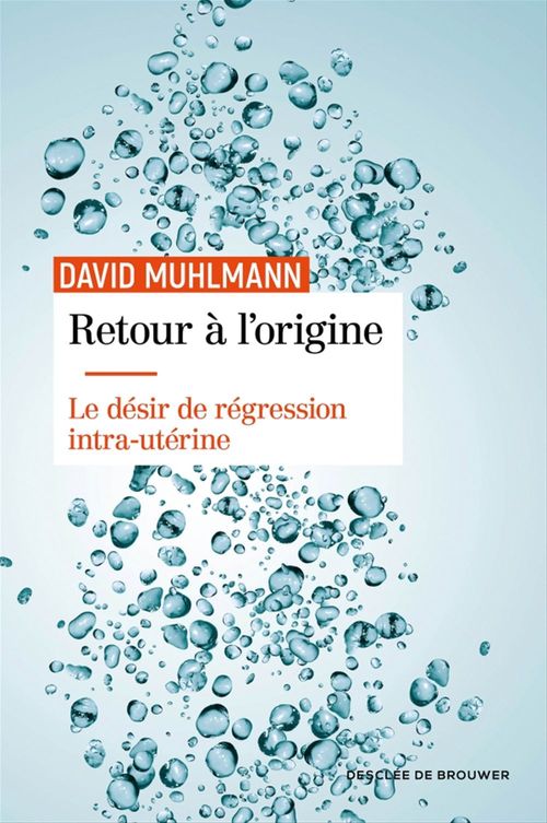 ebook cover of Retour à l'origine, by David Muhlmann