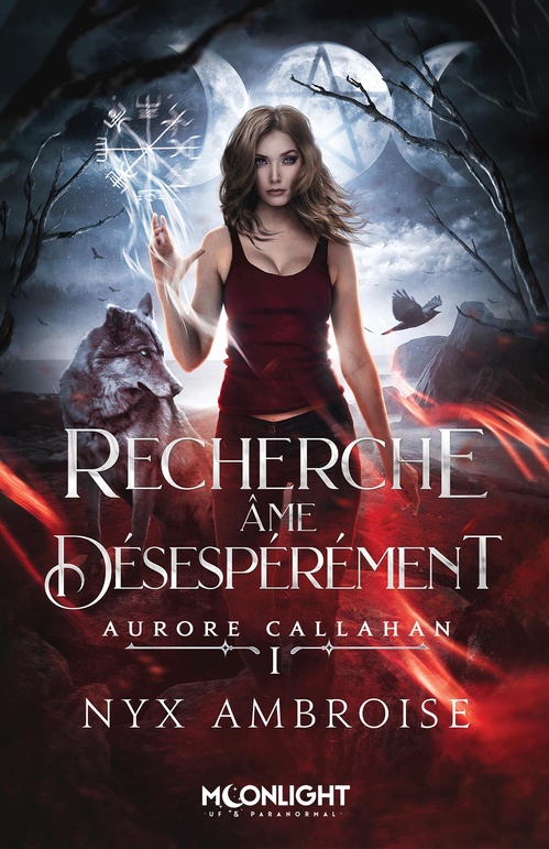 ebook cover of Recherche âme désespérément, by Nyx Ambroise