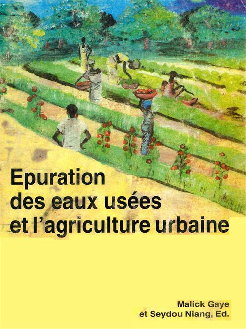 ebook cover of Épuration extensive des eaux usées pour leur réutilisation dans l'agriculture urbaine :, by Malick Gaye, Seydou Niang