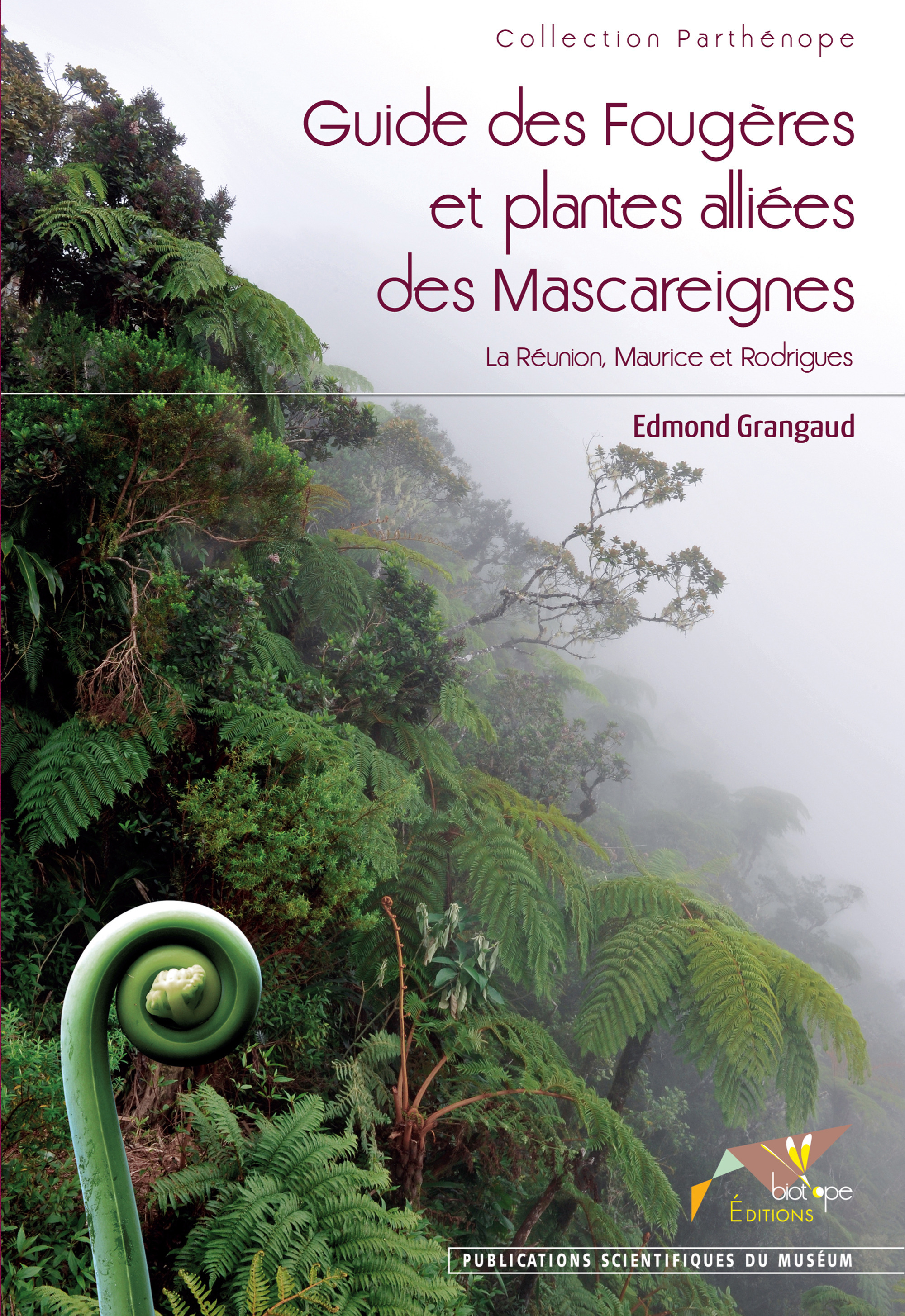 Couverture ebook de Guide des Fougères et plantes alliées des Mascareignes, de Edmond Grangaud