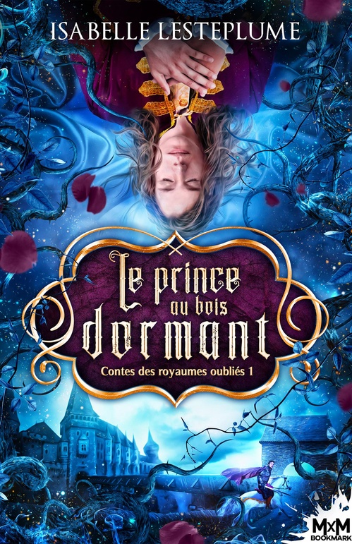 Couverture ebook de Le prince au bois dormant, de Isabelle Lesteplume