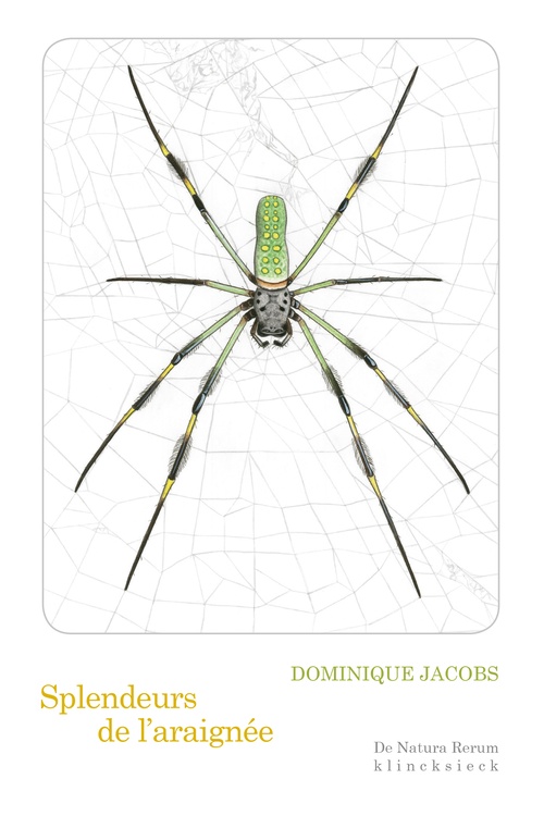 Couverture ebook de Splendeurs de l´araignée, de Dominique Jacobs