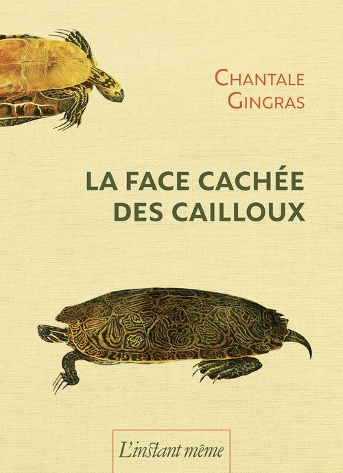 Couverture ebook de La face cachée des cailloux, de Gingras Chantale
