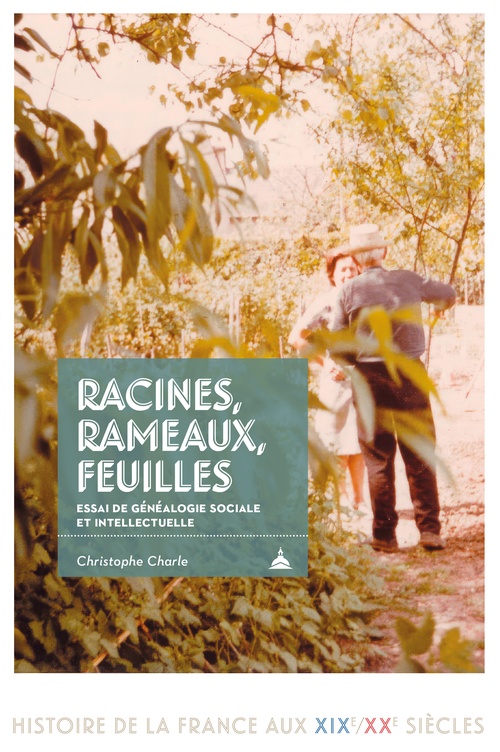 ebook cover of Racines, rameaux, feuilles, by Christophe Charle