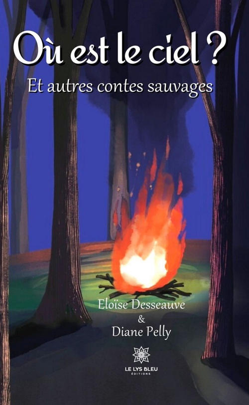 ebook cover of Où est le ciel ?, by Diane Pelly, Eloïse Desseauve