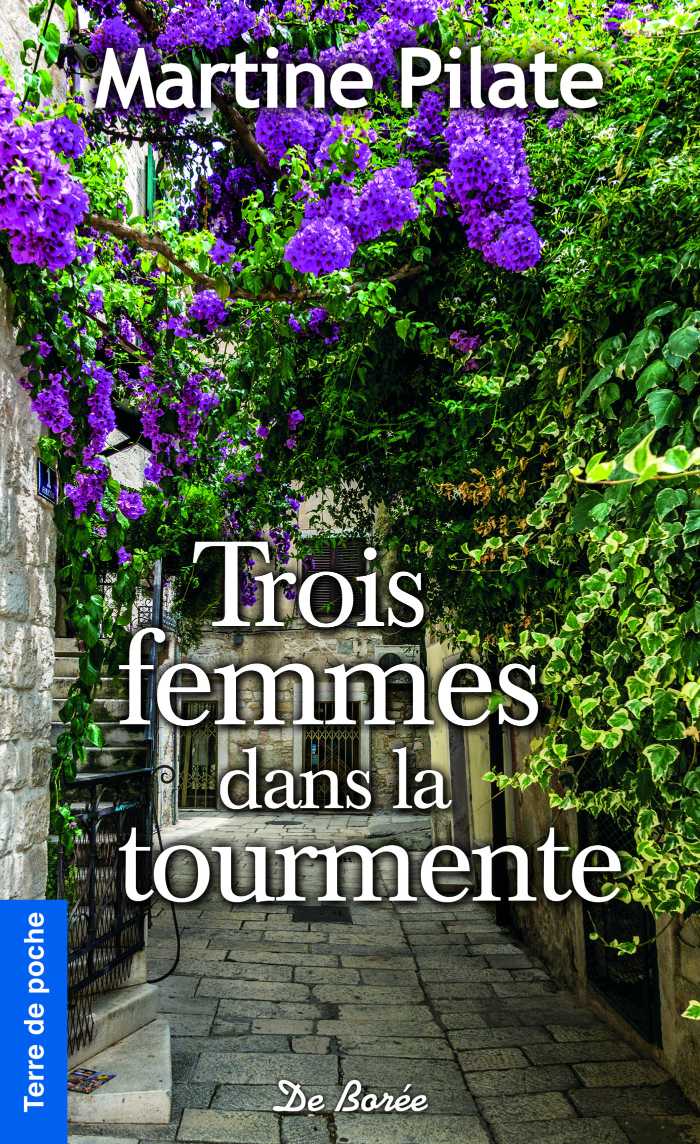 ebook cover of Trois femmes dans la tourmente, by Martine Pilate