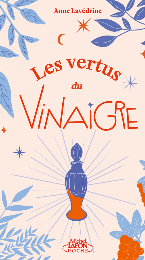 ebook cover of Les Vertus du vinaigre, by Anne Lavédrine