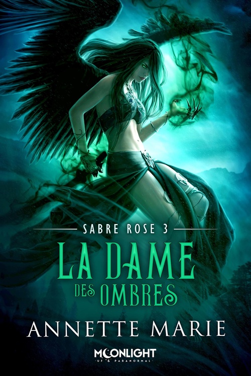 ebook cover of La Dame des Ombres, by Annette Marie