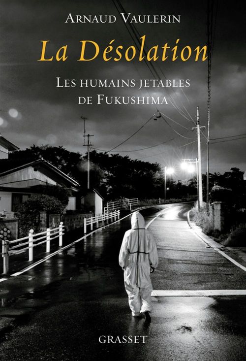Couverture ebook de La désolation, de Arnaud Vaulerin