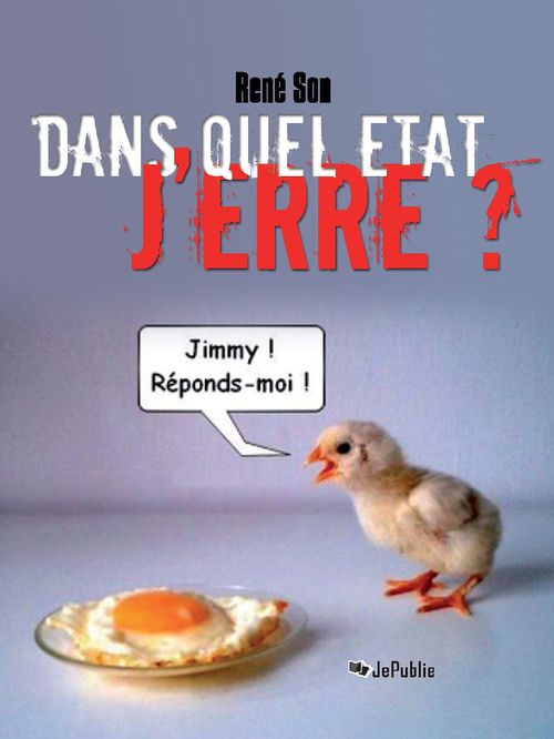 ebook cover of Dans quel état j'erre ?, by René Son