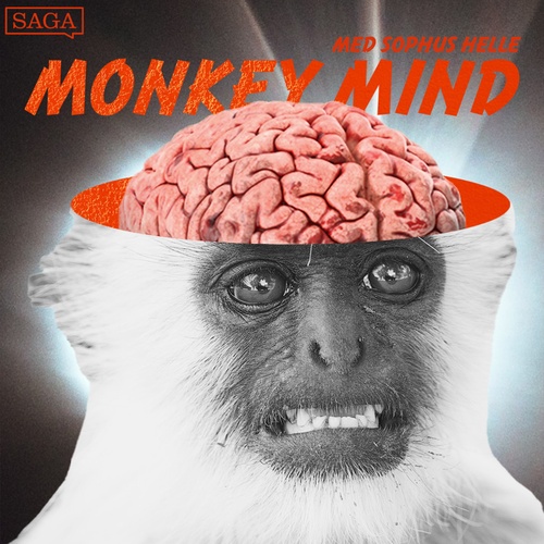audiobook cover of Monkey Mind, by Sophus Helle
