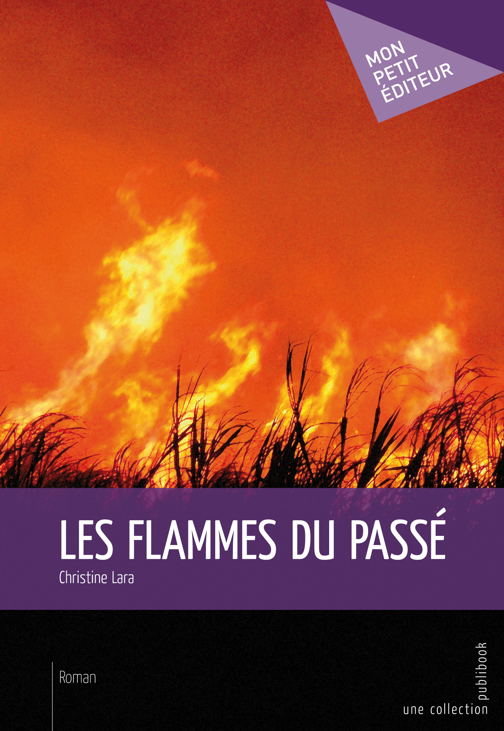 ebook cover of Les Flammes du passé, by Christine Lara
