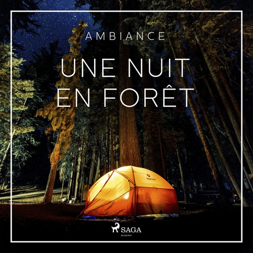 audiobook cover of Une nuit en forêt, by Rasmus Broe
