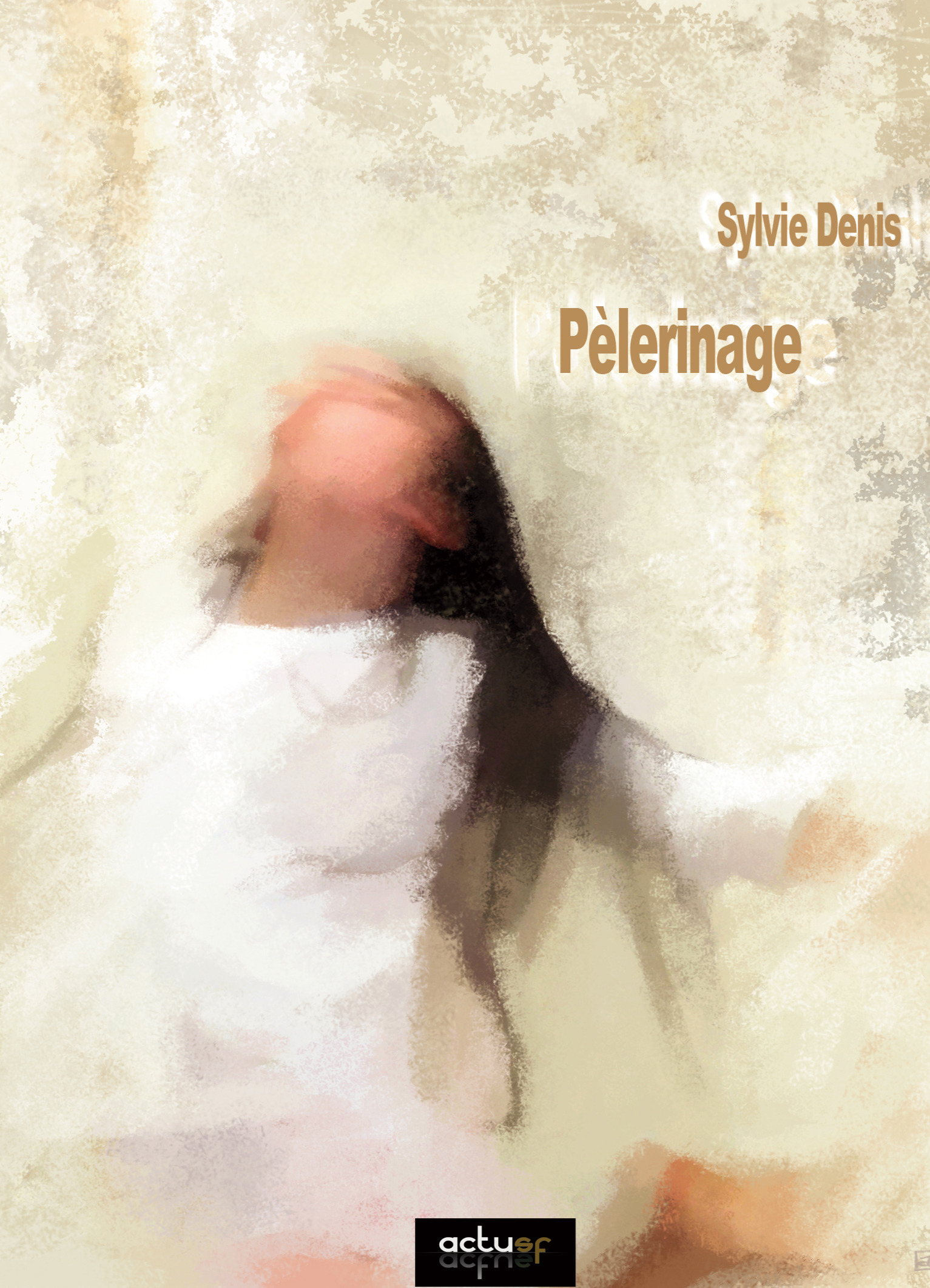 Couverture ebook de Pèlerinage, de Sylvie Denis