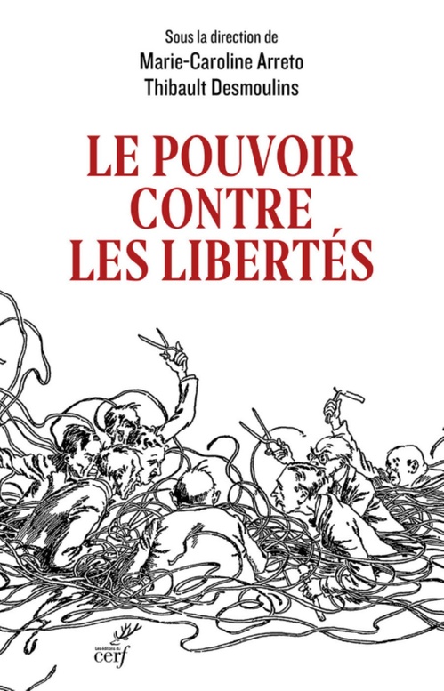 Couverture ebook de LE POUVOIR CONTRE LES LIBERTES, de Marie-Caroline Arreto, Thibault Desmoulins