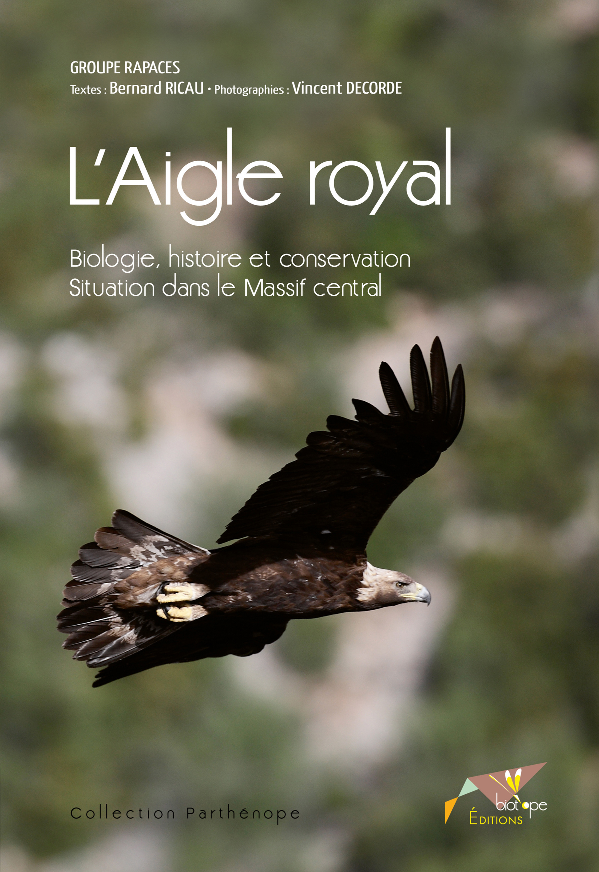 Couverture ebook de L´Aigle royal, de Ricau/Decorde/Testi