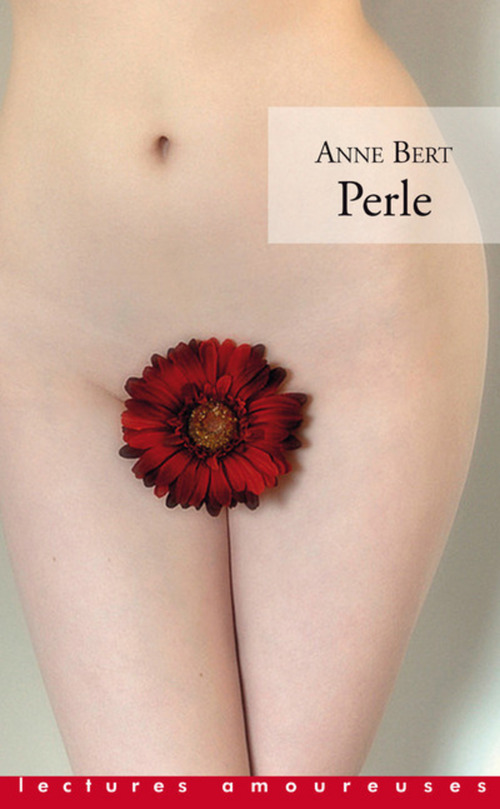 ebook cover of Perle, by Anne Bert