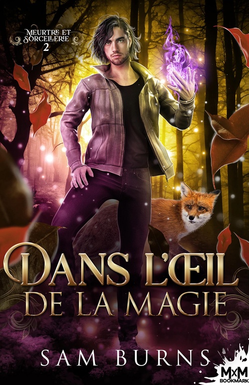 ebook cover of Dans l´oeil de la magie, by Sam Burns