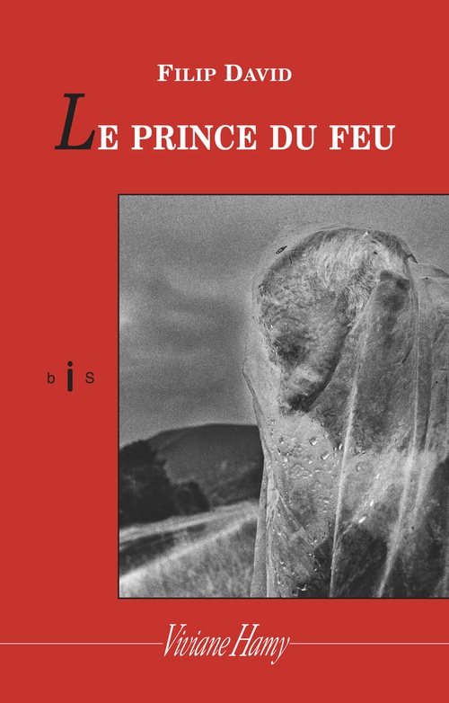 Couverture ebook de Les Prince du feu, de Filip David