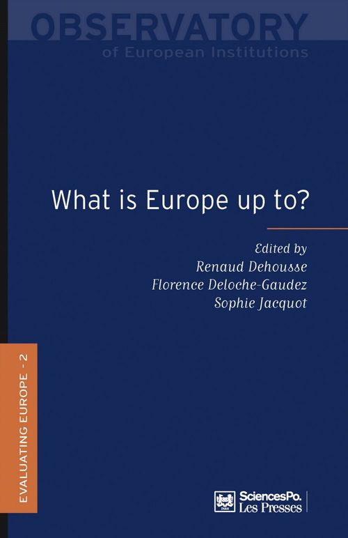 ebook cover of What is Europe up to ?, by Renaud Dehousse