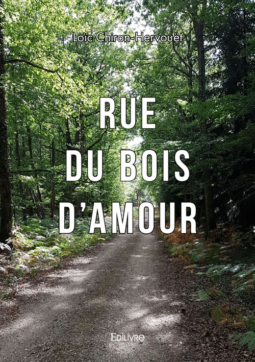 Couverture ebook de Rue du bois d'amour, de Loic Chiron-Hervouet