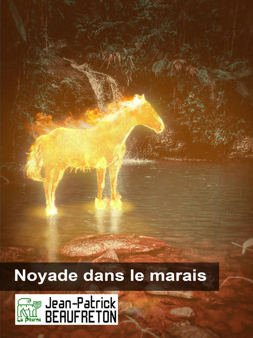 Couverture ebook de Noyade dans le marais, de Jean-patrick Beaufreton