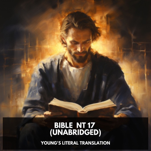 Couverture audiobook de Bible  NT 17 (Unabridged), de Young'S Literal Translation