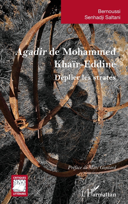 ebook cover of Agadir de Mohammed Khaïr-Eddine, by Bernoussi Senhadji Saltani