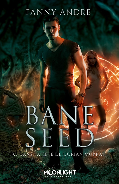 ebook cover of Dans la tête de Dorian Murray, by Fanny André
