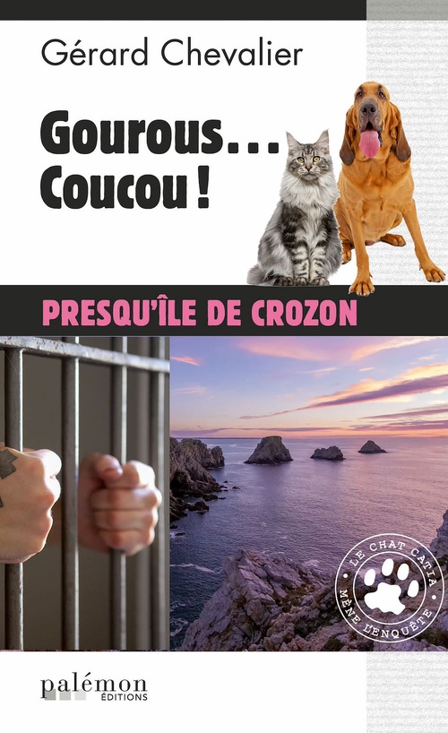 Couverture ebook de Gourous... coucou !, de Gérard Chevalier