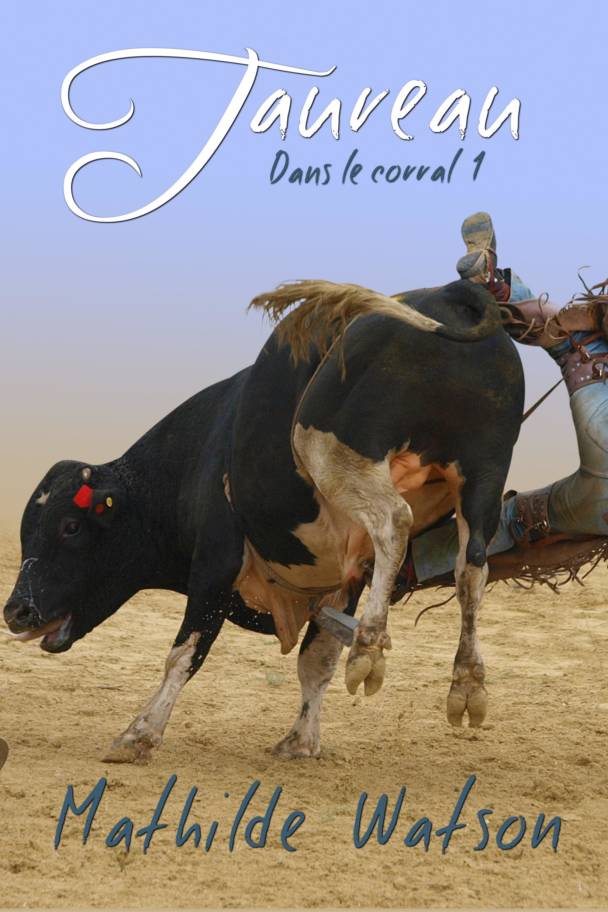 Couverture ebook de Taureau, de Mathilde Watson
