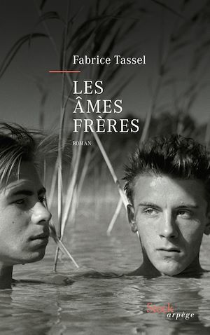 Couverture ebook de Les âmes frères, de Fabrice Tassel