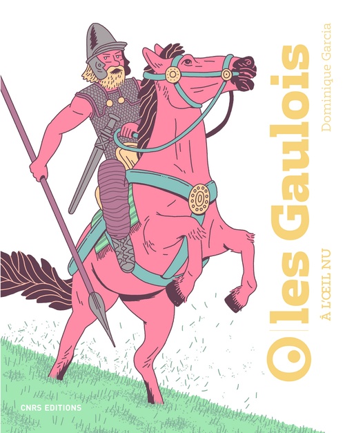 Couverture ebook de Les Gaulois à l'oeil nu, de Dominique Garcia, Jérémy Perrodeau