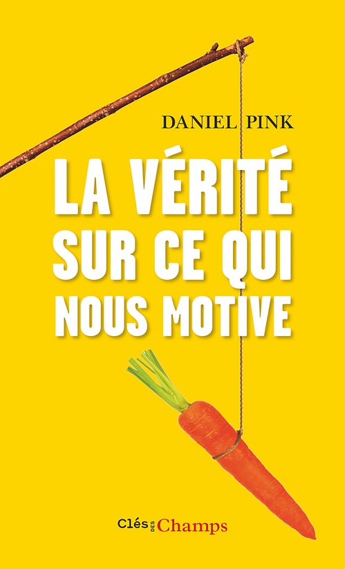 Couverture ebook de La vérité sur ce qui nous motive, de Daniel Pink
