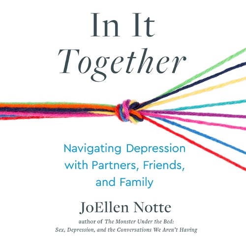 Couverture audiobook de In It Together, de Joellen Notte