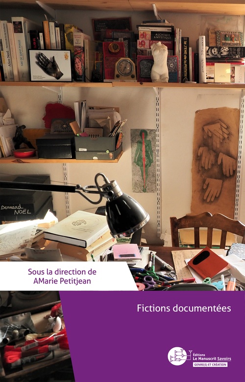 Couverture ebook de Fictions documentées, de Amarie Petitjean