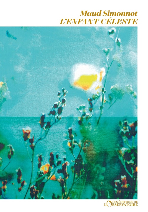 ebook cover of L'Enfant céleste, by Maud Simonnot
