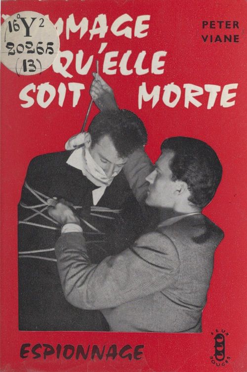 Couverture ebook de Dommage qu'elle soit morte, de Peter Viane
