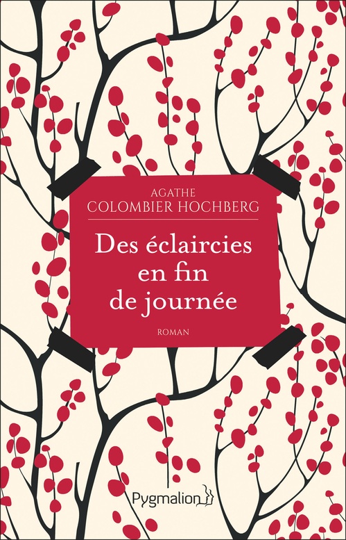 Couverture ebook de Des éclaircies en fin de journée, de Agathe Colombier hochberg
