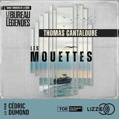 audiobook cover of Les Mouettes - Mission Sahel, by Thomas Cantaloube
