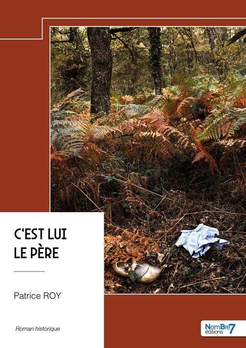 ebook cover of C'est lui le père, by Patrice Roy