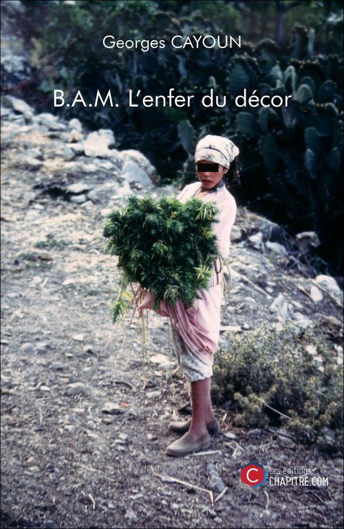 ebook cover of B.A.M. L'enfer du décor, by Georges Cayoun