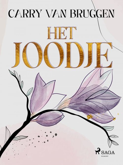 Couverture ebook de Het Joodje, de Carry Van Bruggen