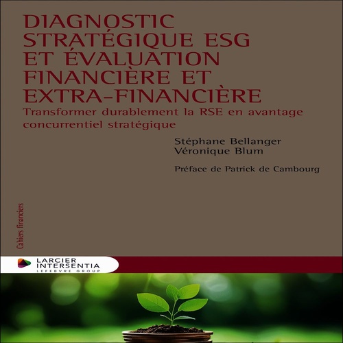 ebook cover of Diagnostic stratégique ESG et évaluation financière et extra-financière, by Stephane Bellanger, Veronique Blum