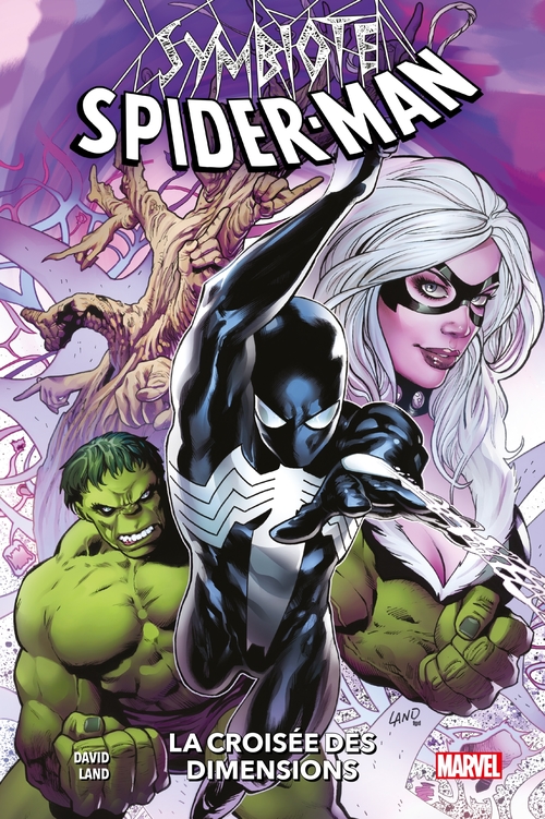 ebook cover of Symbiote Spider-Man : La croisée des dimensions, by Peter David