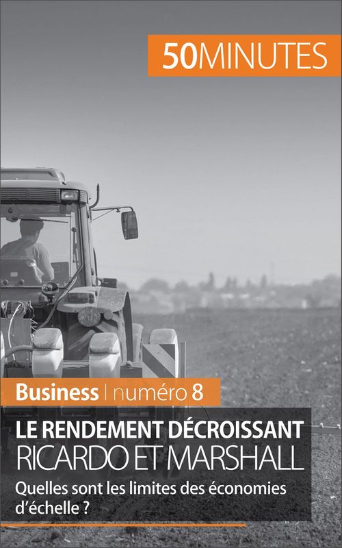 ebook cover of Théorie des rendements décroissants, by Pierre Pichère