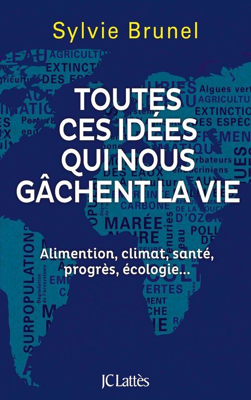 Couverture ebook de Toutes ces idées qui nous gâchent la vie, de Sylvie Brunel